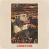 The Spins - Lucky Cig - Single